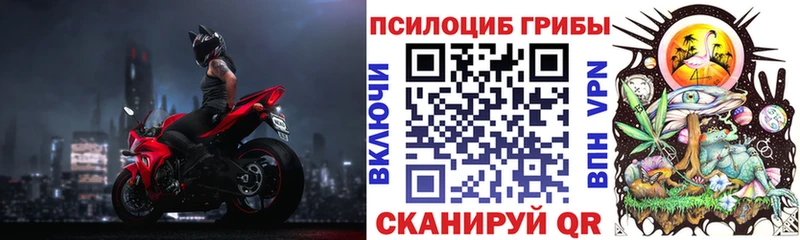 Псилоцибиновые грибы Cubensis Сосновка