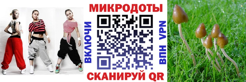 Галлюциногенные грибы Psilocybine cubensis  как найти   Сосновка 